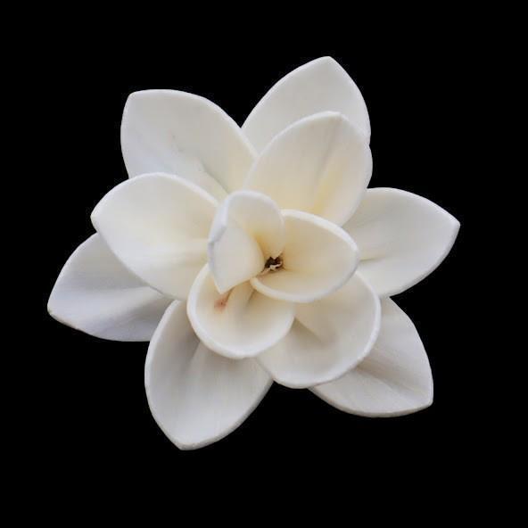 5cm dahlia-s750b05n