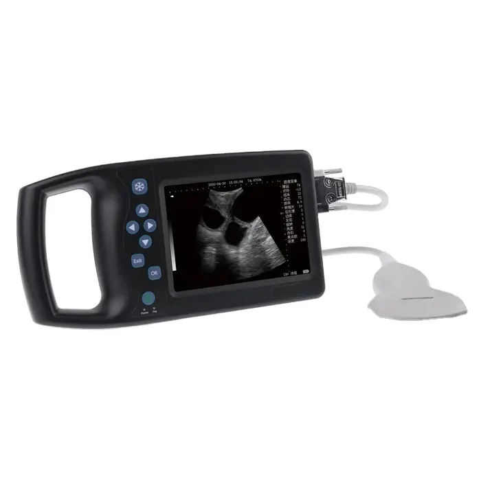 BR-VET3 entièrement numérique vétérinaire Portable Portable professionnel Palm Ultrasound System Handheld Vet Digital Ultrasound Scanner
