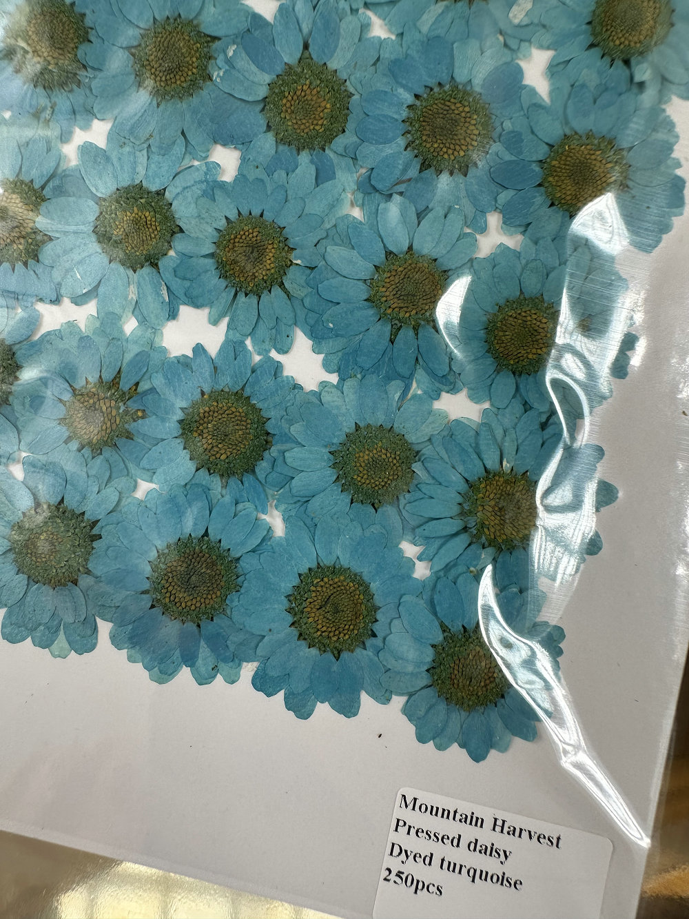 Teint en turquoise 12 pièces/sac