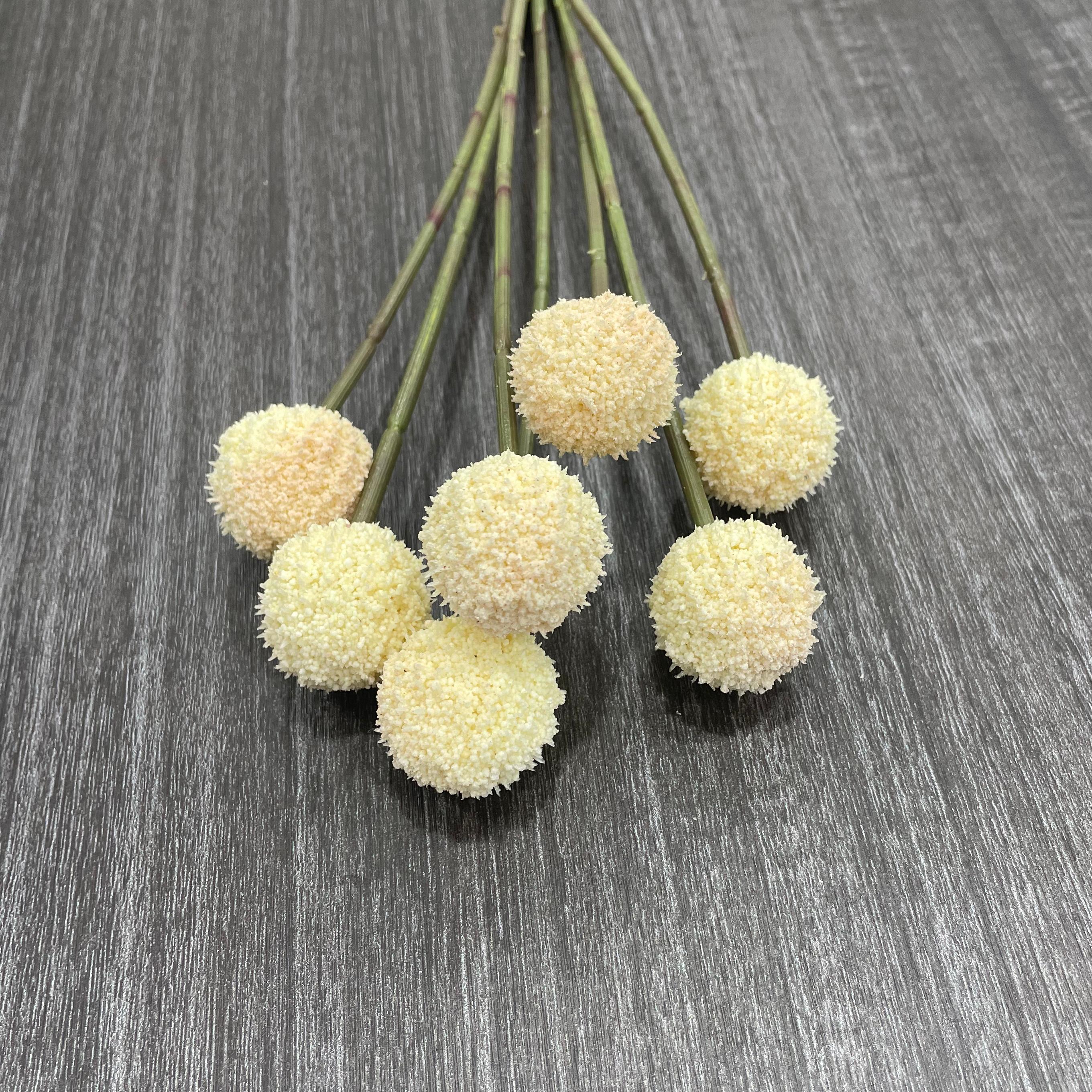 7 Stems 7 heads 62cm Autumn White
