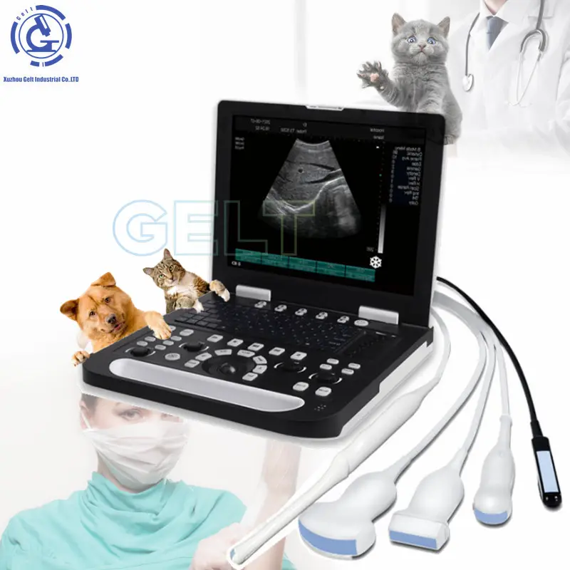 Máquina de ultrassom Doppler para cães e gatos, máquina de ultrassom para uso veterinário GELT, uso médico, colorido, para laptops