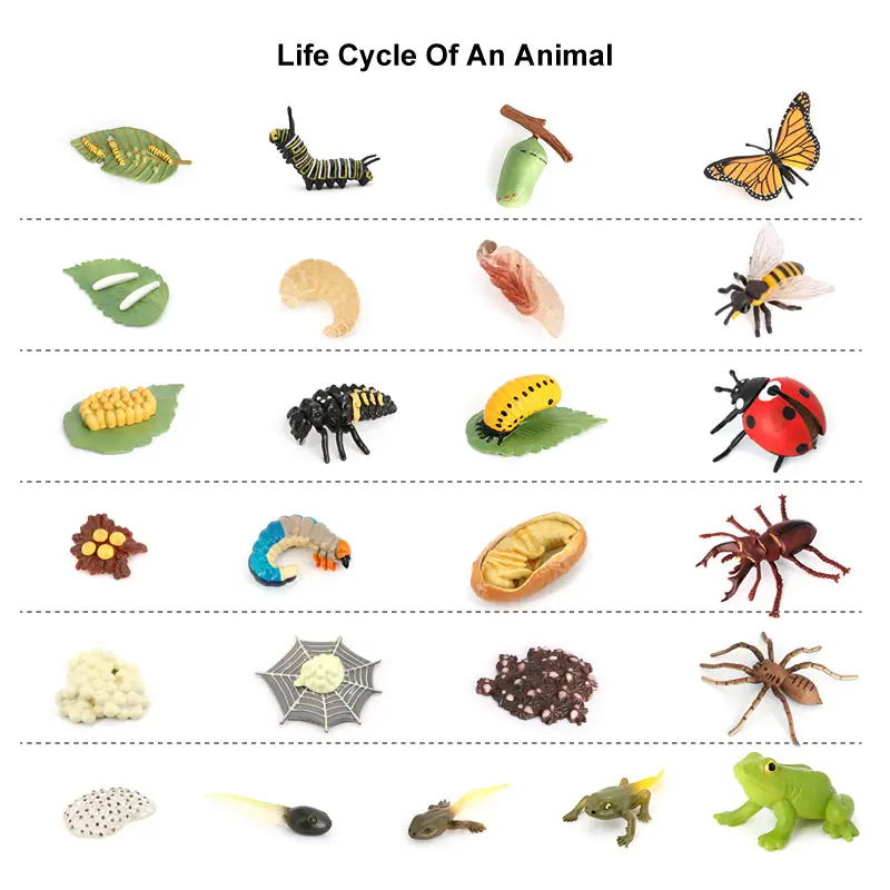 Venta al por mayor de PVC sólido modelo Animal mariposa Froy araña del ciclo de vida de figuras