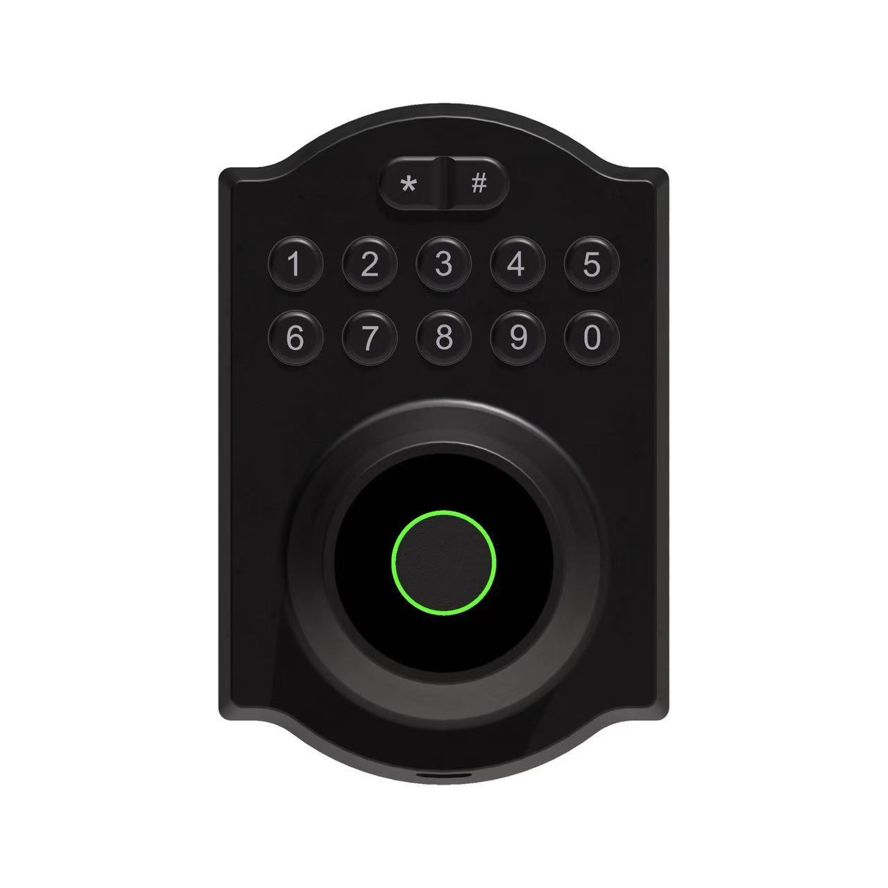 D01 Black, Fingerprint + Password + Key