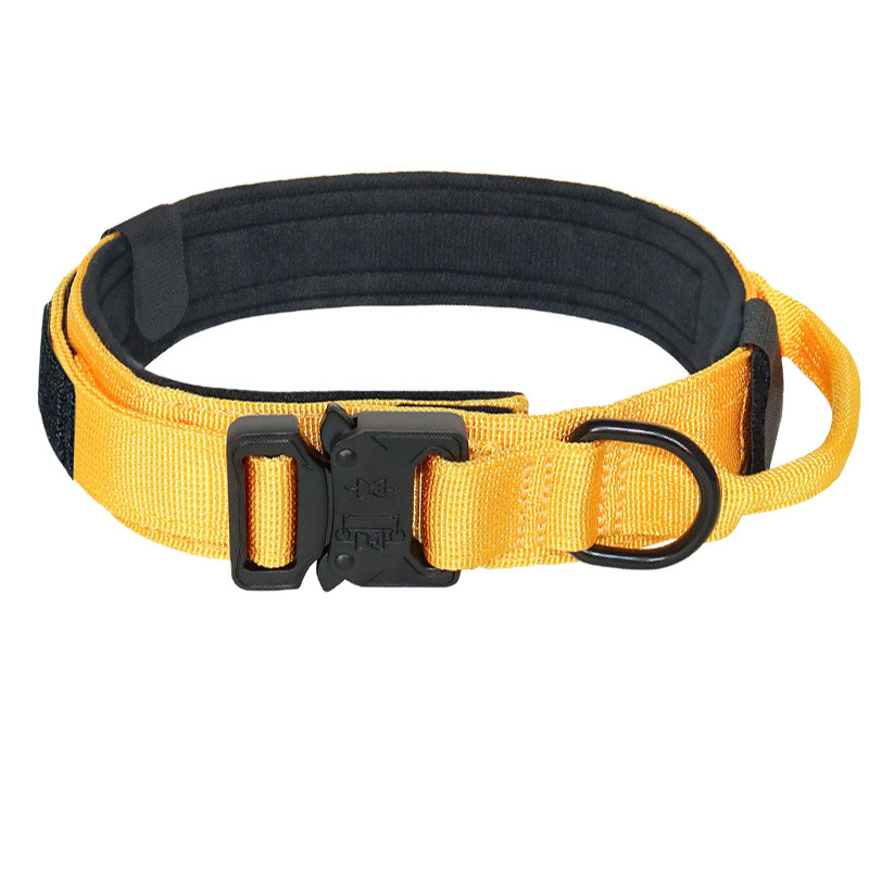 Amazon cuello amarillo