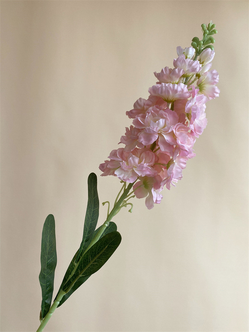 84cm rose clair
