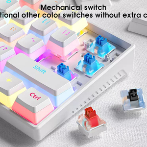 SAMA Factory Direct Low MOQ Mini 61 <strong>Keys</strong> Portable RGB Light USB Klavye Multimedia Blue Switch Gaming Mechanical <strong>Keyboard</strong> - Product Image 5
