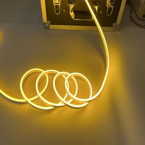 Customizable <strong>8</strong>*16 <strong>MM</strong> 6*12MM <strong>LED</strong> Silicon Flex Strip DC12V Waterproof Outdoor <strong>LED</strong> Neon Light Monochrome Magic RGB Neon Strip - Product Image 6