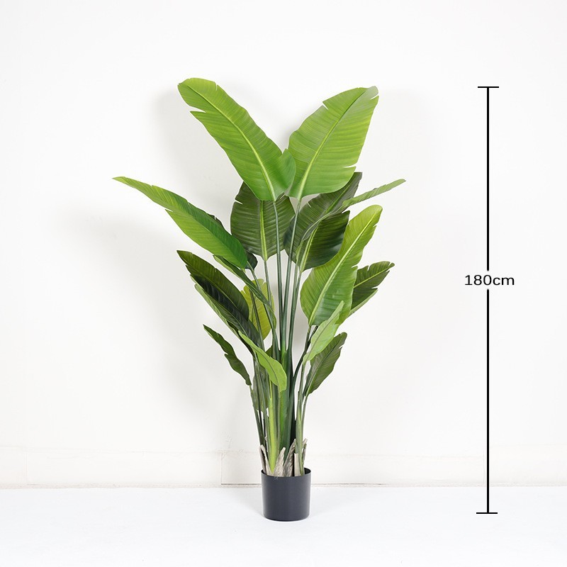 Green Compact 180cm
