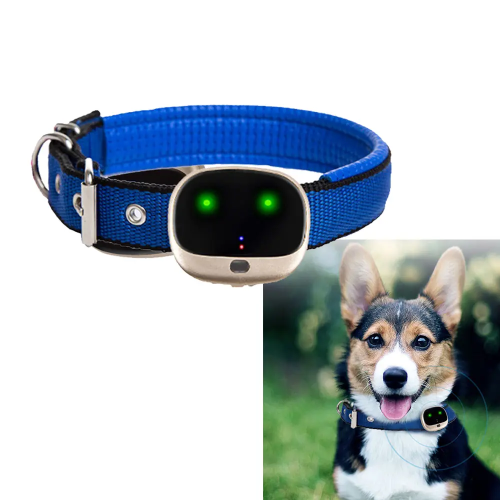 advanced technology smart gps dog collar 4g waterproof gps tracking device for dogs