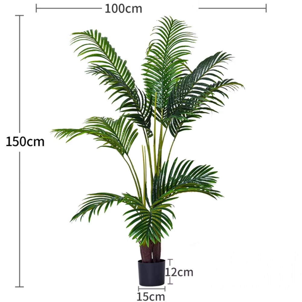 Palmier Areca vert à branches hautes de 1,5 m