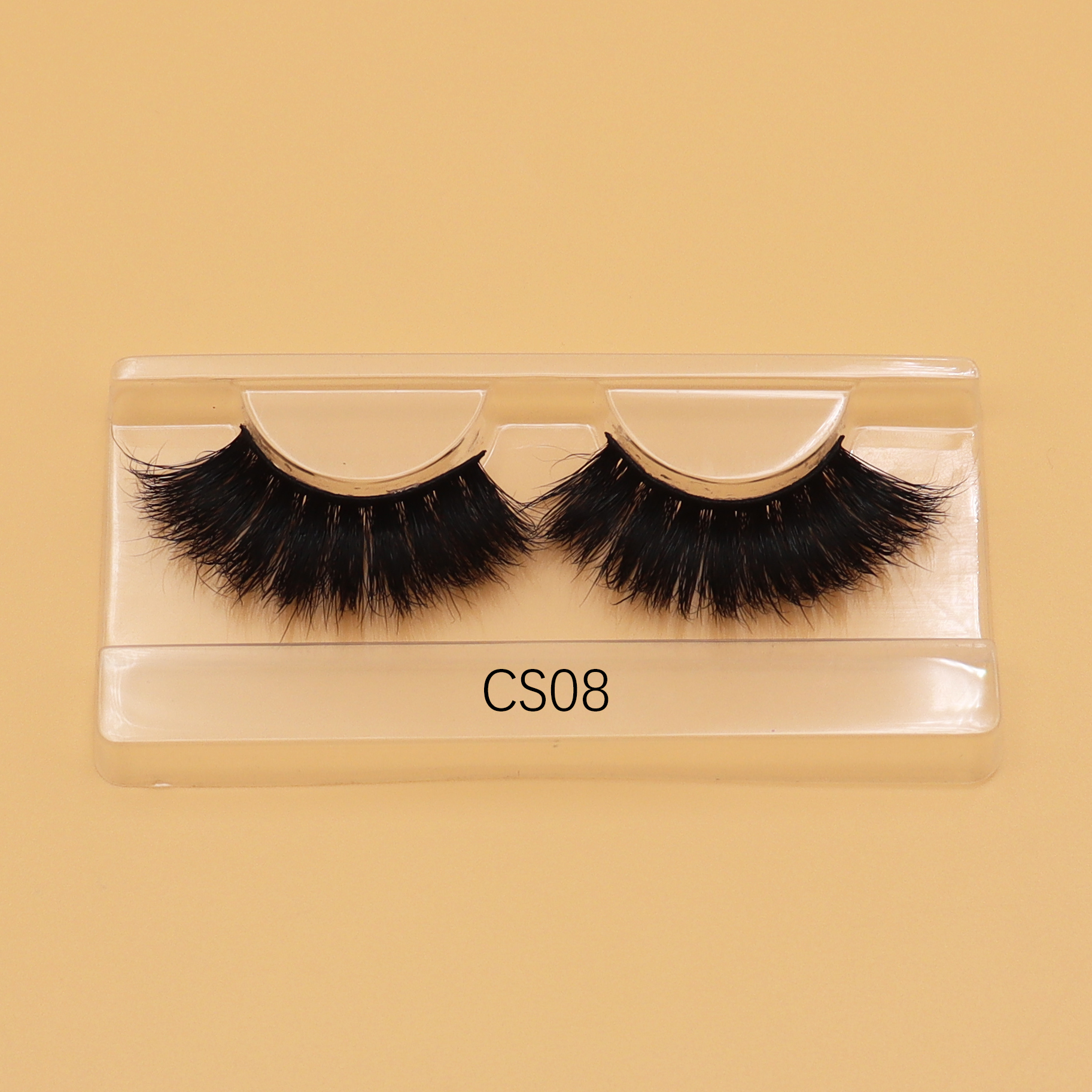 CS08