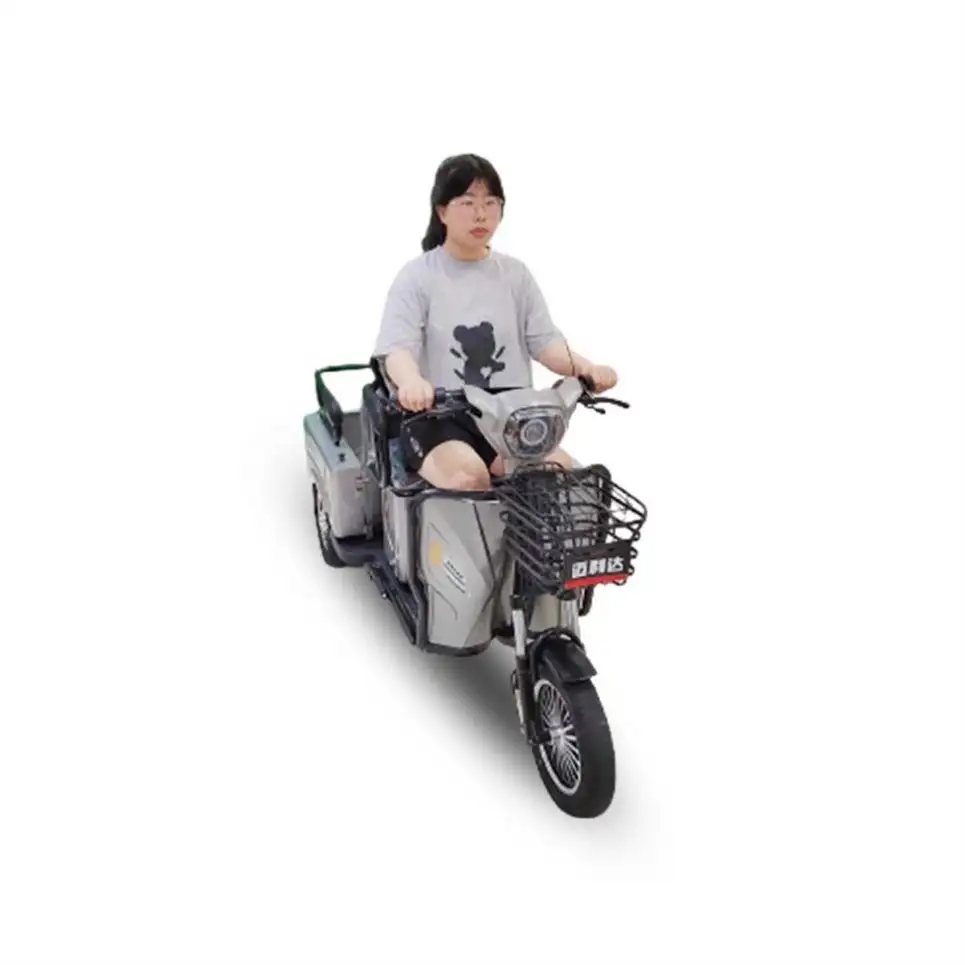 Best Price 2 Seater Electric Trishaw For Seniors Electric Motorcycle For Adults
