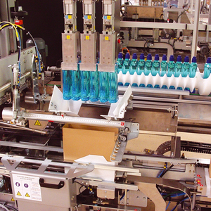 High Speed <strong>Automatic</strong> Case Packing Machine Case Packer Carton Packer With Side <strong>Loading</strong> <strong>System</strong> - Product Image 2