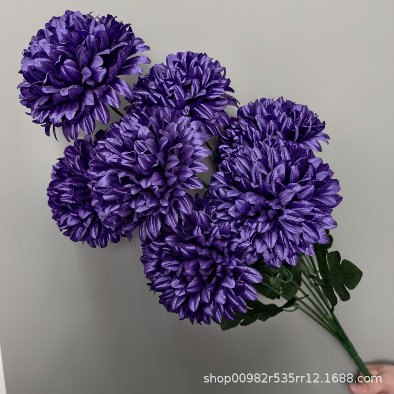 Chrysanthème boule violette