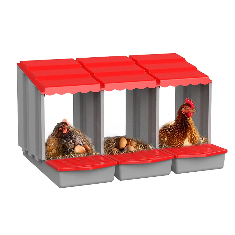 Accesorios para pollos, caja de nido, cajas de nido para gallinas, colección de huevos enrollables