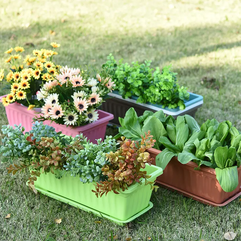 Vasi da tavolo per vasi da vivaio di fragole e piantine di fiori