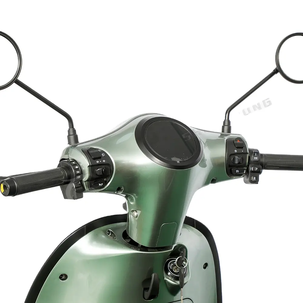 Toptan yüksek hızlı elektrikli bisiklet motosiklet 1000W 60V Off-Road motosiklet Scooter elektrikli Moped pedalı