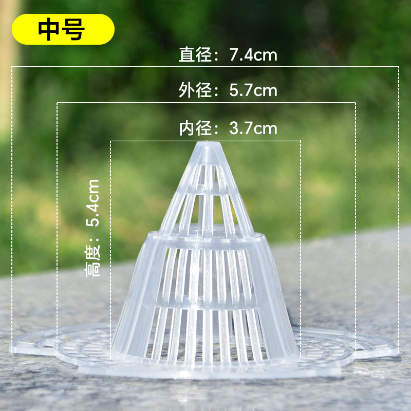 Tampon conique de taille moyenne semi-transparent