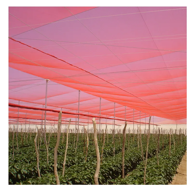 HDPE חממה גן גג משתלת צל שמש אדום רשת צל רשת