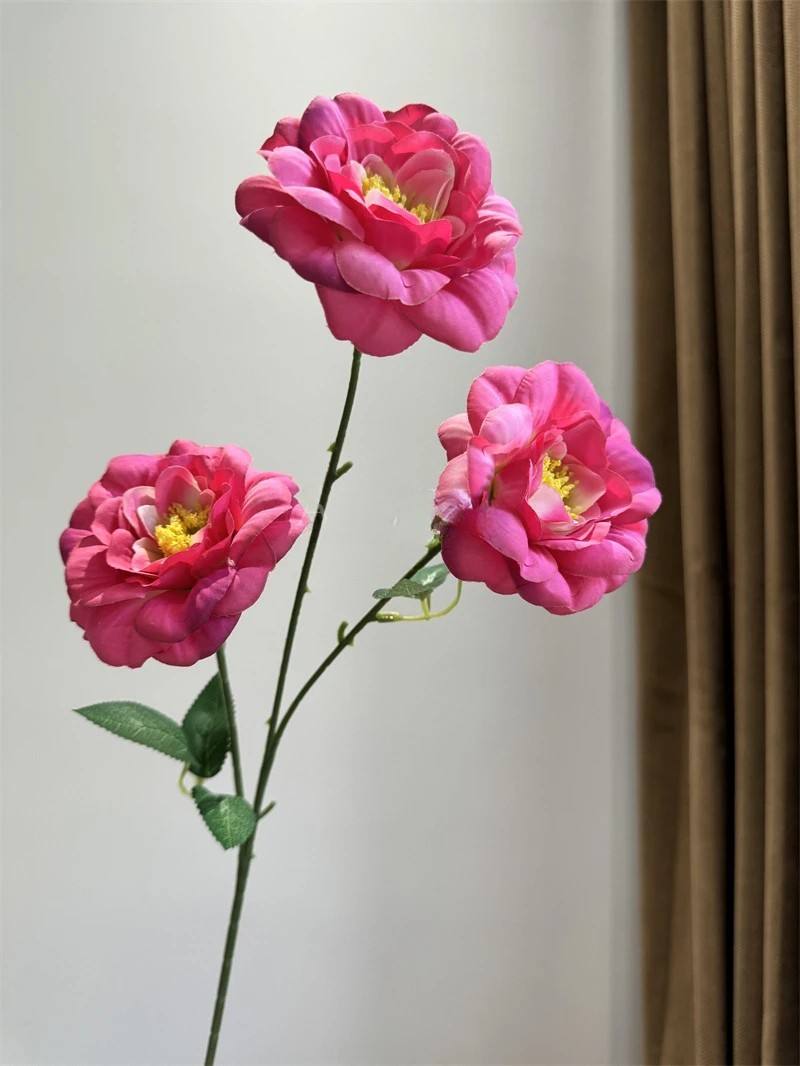 #3กุหลาบแดง