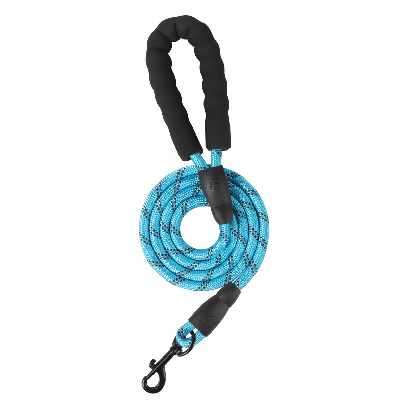 Leash Blue