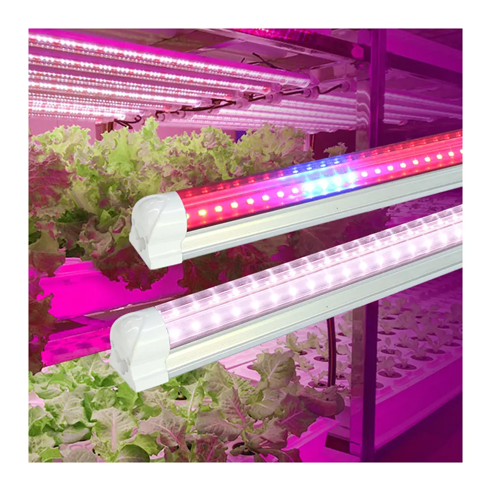 Hoge Efficiëntie T8 Buis Licht Top Seller Verticale Kunstmatige Led Plant Kweeklampen Voor Indoor Groene Blad Groente Bloem Fruit