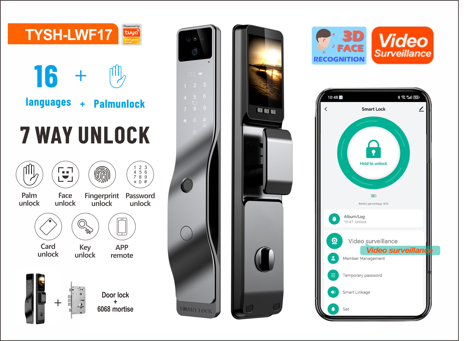 Face recognition-LWF17-Silver
