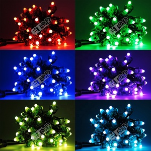 ETOP 5 V 12 V 12 mm intelligenter Led-Punkt-Pixelmodul 5 V Zeichenleuchten-Led-Pixel Ws2811 RGB-Leuchten Led IP68 80 Led Deckenbeleuchtung - Product Image 6
