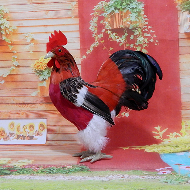 Rooster number two