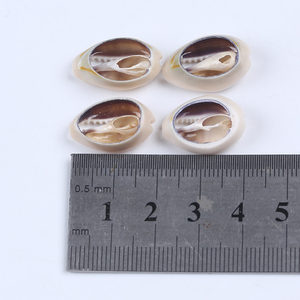 Doğal zanaat yarım kesim bölünmüş deniz kabuk Cowrie Shell dekor deniz kabuğu kabuklu deniz hayvanı kabuğu - Product Image 3