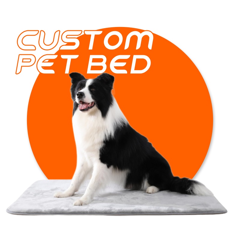 Dog Mat Bed