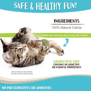 Raw Paws Catnip Balls Interactive Cat Toy for Indoor Kitten Toys Cat <strong>Nip</strong> Lick Ball <strong>Nip</strong> Natural Catnip Ball for Cats All Breeds - Product Image 6