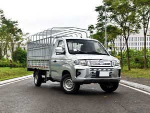 瑞驰ED71电动汽车新能源迷你面包车，带295千米范围电动汽车左转向电动，带新栅栏卡车