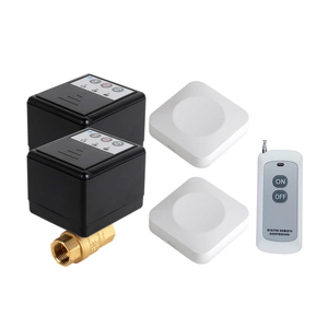 433MHz telecomando Wireless con Antenna esterna pulsante on / off per controllare il mio negozio 433Mhz senza fili valvola in ottone nero