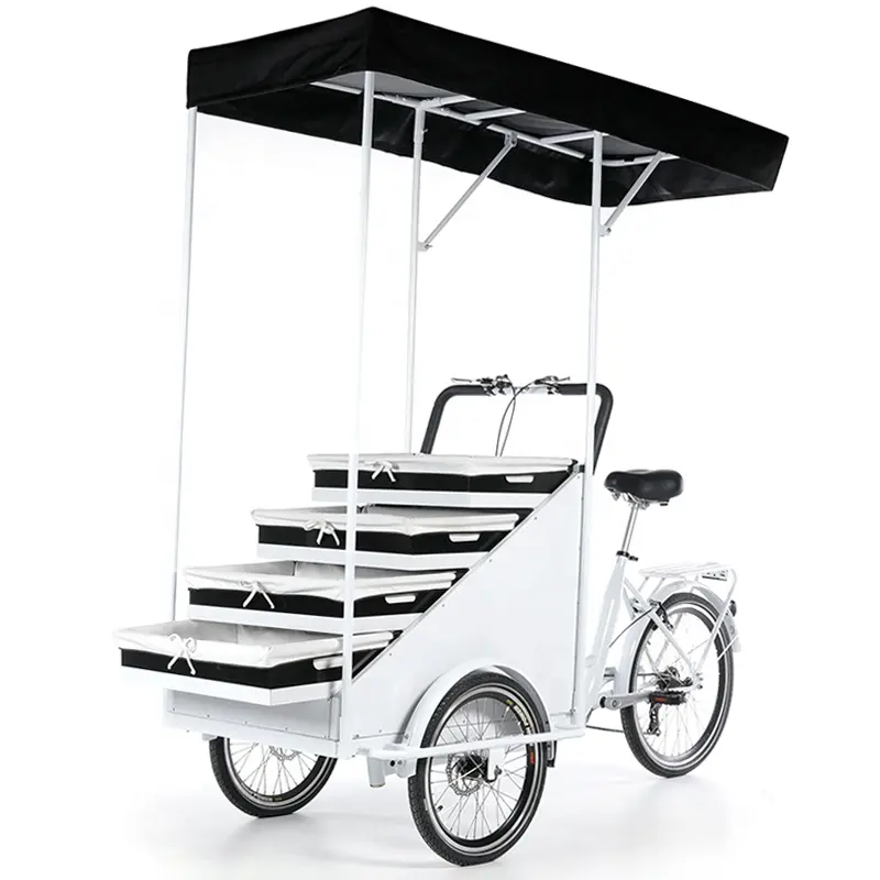 Tre ruote reverse riding pedal assist carrello per alimenti elettrico frutta verdura caffè vending trike in vendita