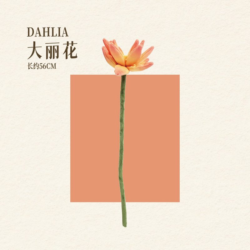 DAHLIA