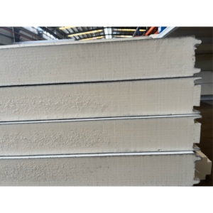 GMP Polyuréthane de bonne qualité PUP/PIR Panneau sandwich pour chambre froide pour congélateurs alimentaires - Product Image 5