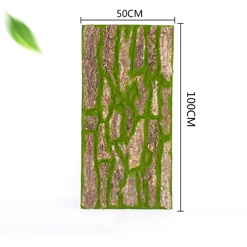07 50*100cm