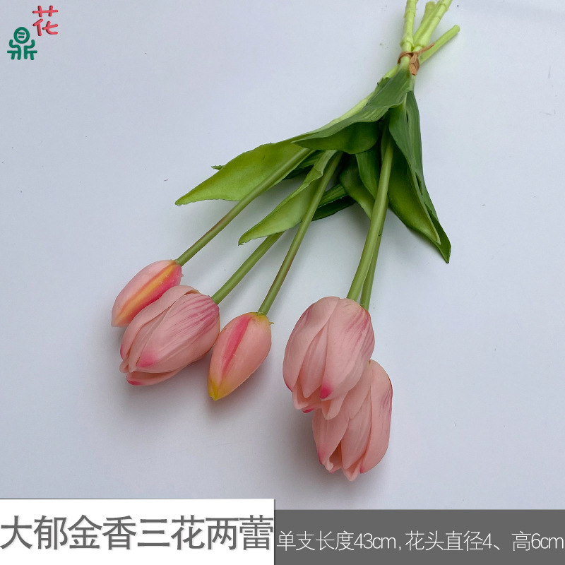 Grande tulipe à trois fleurs et deux boutons (SCN, rose)
