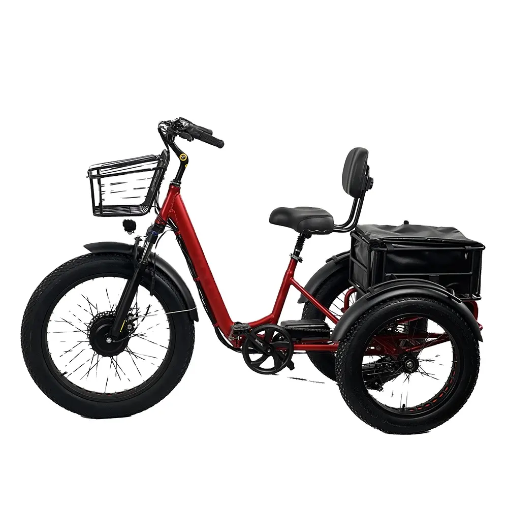 CE EEC COC 2024, новая модель, модный гигантский трехколесный электрический велосипед, толстый велосипед для мужчин, 24 дюйма
