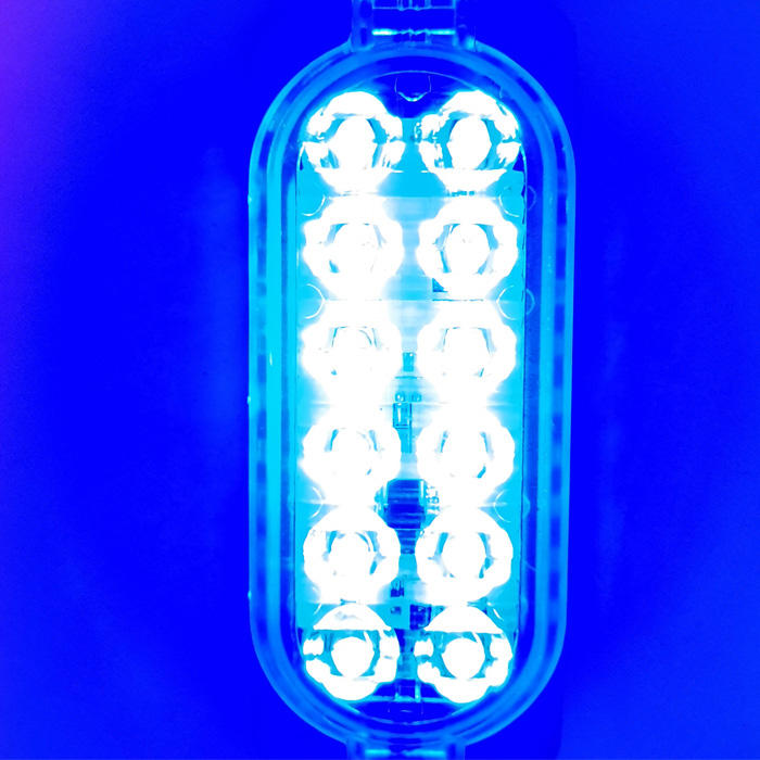 Bleu marine Auto-flash