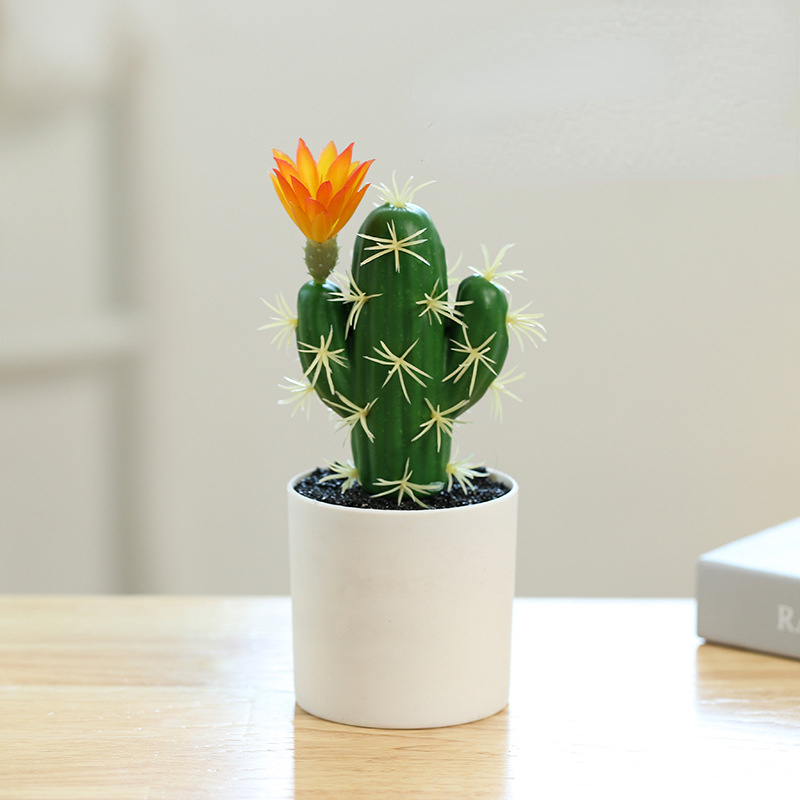 Small Pot Plant