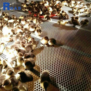 Жесткая пластиковая плоская сетчатая сетка HDPE Geonet - Product Image 3
