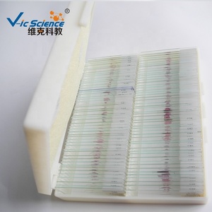 100 tipi di microscopio umano educativo istologia patologica vetrini preparati scivolo istologico - Product Image 6