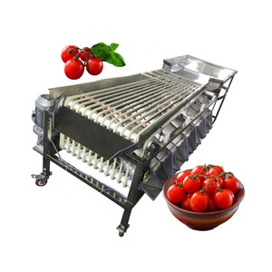 All'ingrosso giuggiolo pomodori ciliegia Noci di selezione macchina per la classificazione della data rossa - Product Image 6