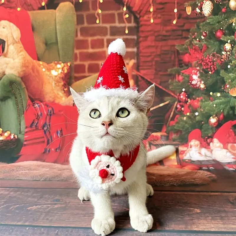 फैक्टरी गर्म बेच पालतू क्रिसमस कॉलर दुपट्टा बिल्ली कुत्ते बुना हुआ बरसती बिब ऊन टोपी क्रिसमस बिल्ली दुपट्टा