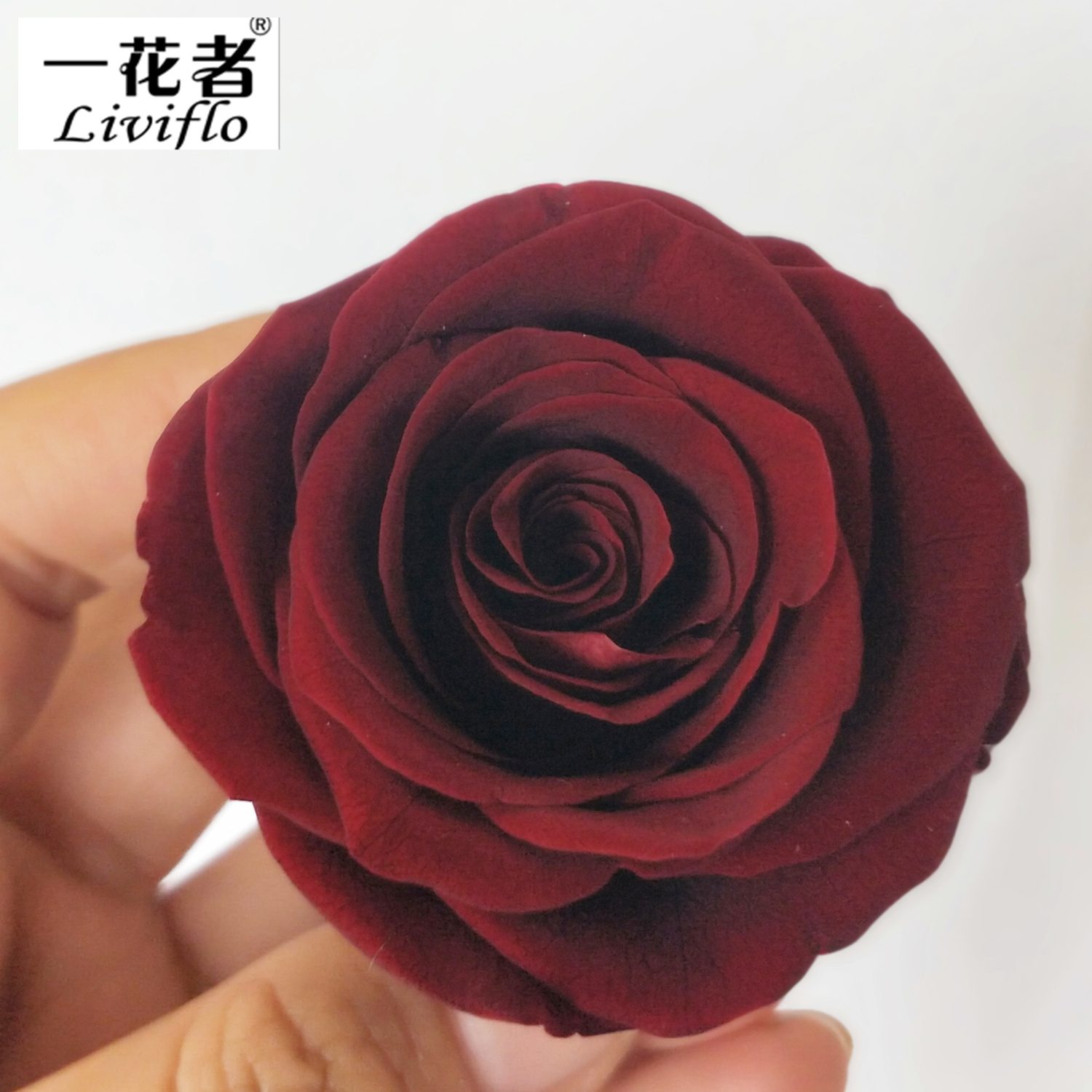 Rojo vino