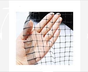 Virgin Polypropylen Extrudierter Kunststoff Anti Mole Net Garden Mesh <span class=keywords><strong>Netting</strong></span> für Vögel - Product Image 6
