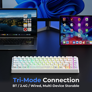 XVX M67 Jadestone RGB Backlit Bàn Phím Cơ Khí Trắng Spider Web Phiên Bản 65% Không Dây QMK/Thông Qua Chơi Game Tri-Chế Độ Hot Swappable - Product Image 3