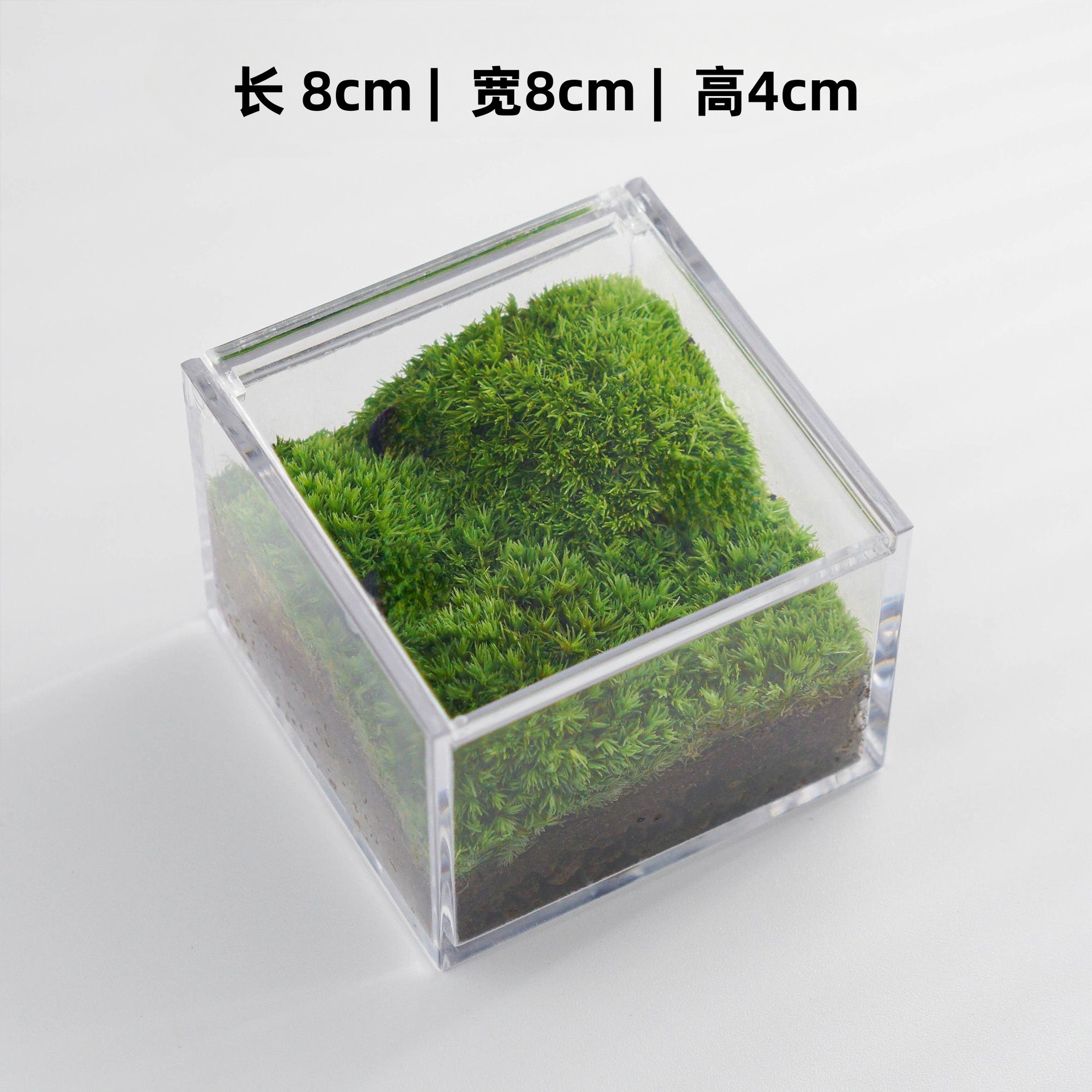 Upgraded version (8X8X4cm private lawn)